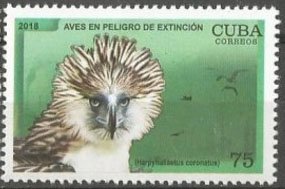 Birds in danger of Extinction