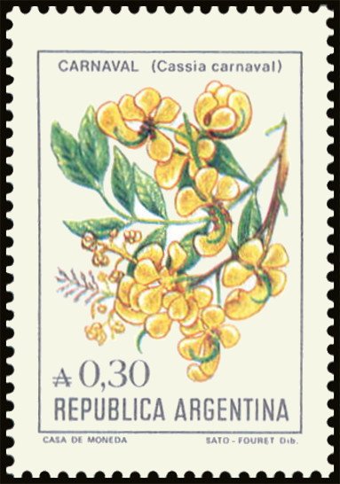 Flor de Carnaval (Cassia carnaval)