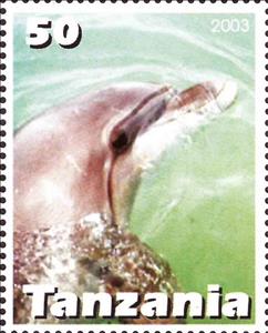 Stamp, Dolphin, Cinderellas,  , Animals (Fauna), Dolphins, Mammals, Sea Life