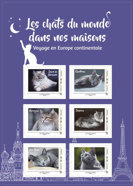 Cat Breeds of Continental Europe