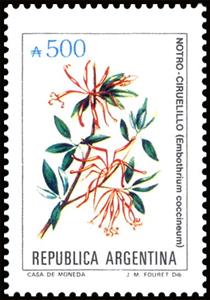Stamp, Notro-Ciruelillo (Embothrium coccineum), Argentina,  , Flowers, Plants (Flora)