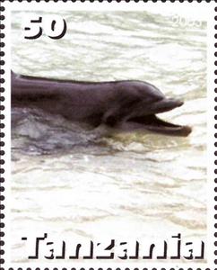 Stamp, Dolphin, Cinderellas,  , Animals (Fauna), Dolphins, Mammals, Sea Life