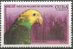 Birds in danger of Extinction