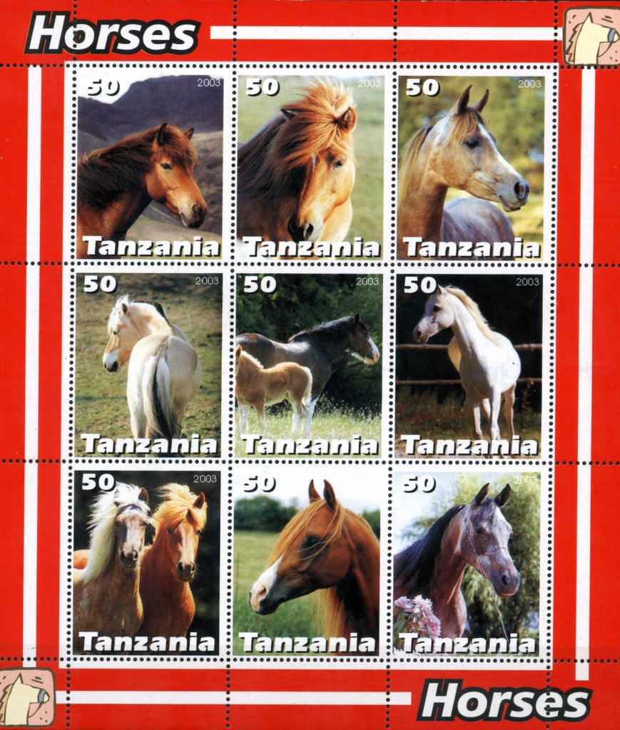 Horses