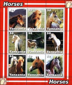 Mini Sheet, Horses, Cinderellas,  , Animals (Fauna), Horses, Mammals