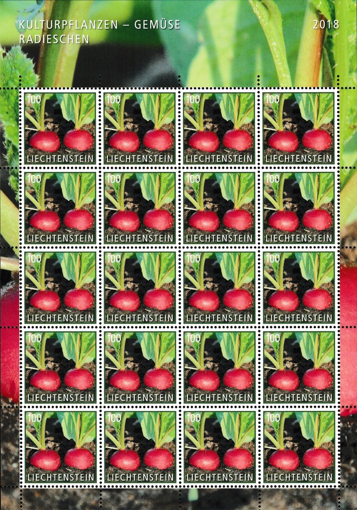 Radishes