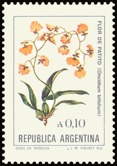 Flor de Patito (Oncidium bifolium)