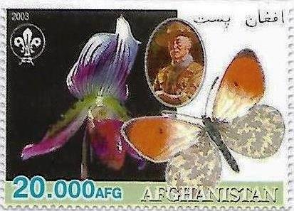 Butterfly and orchid
