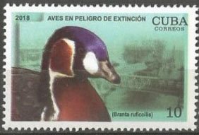 Birds in danger of Extinction