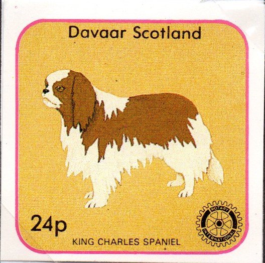 King Charles Spaniel, Rotary International