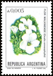 Stamp, Flor Malvinense (Oxalis ennea phylla), Argentina,  , Flowers, Plants (Flora)