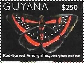 Amarynthus meneria