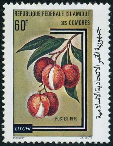 Litchi