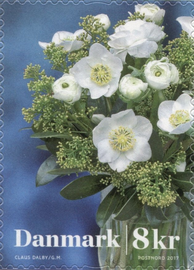 Winterflowers