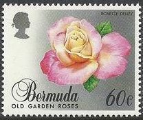 Rosette delizy