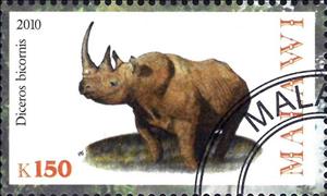 Stamp, Diceros bicornis, Cinderellas,  , Animals (Fauna), Rhinoceroses