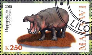 Stamp, Hippopotamus amphibius, Cinderellas,  , Animals (Fauna), Hippopotamuses