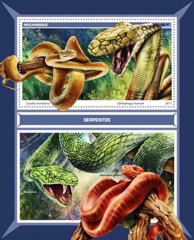Corallus hortulanus, Ophiophagus hannah