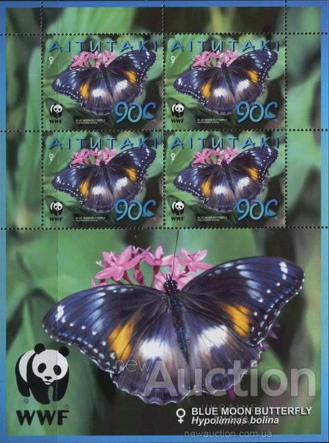 Blue Moon Butterfly (Hypolimnas bolina)
