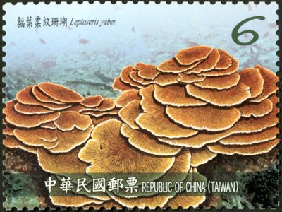 Stamp,  Leptoseris yabei , Taiwan (Republic of China),  , Animals (Fauna), Corals and Sponges, Sea Life