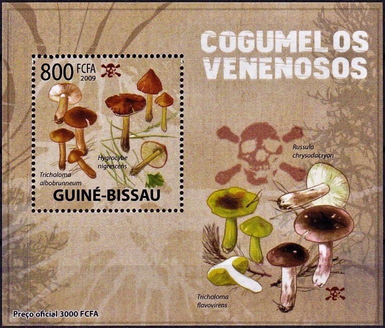 Tricholoma albobrunneum/Hygrocybe nigrescens