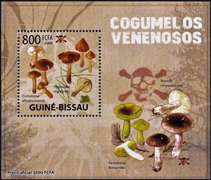 Souvenir Sheet, Tricholoma albobrunneum/Hygrocybe nigrescens, Cinderellas,  , Mushrooms