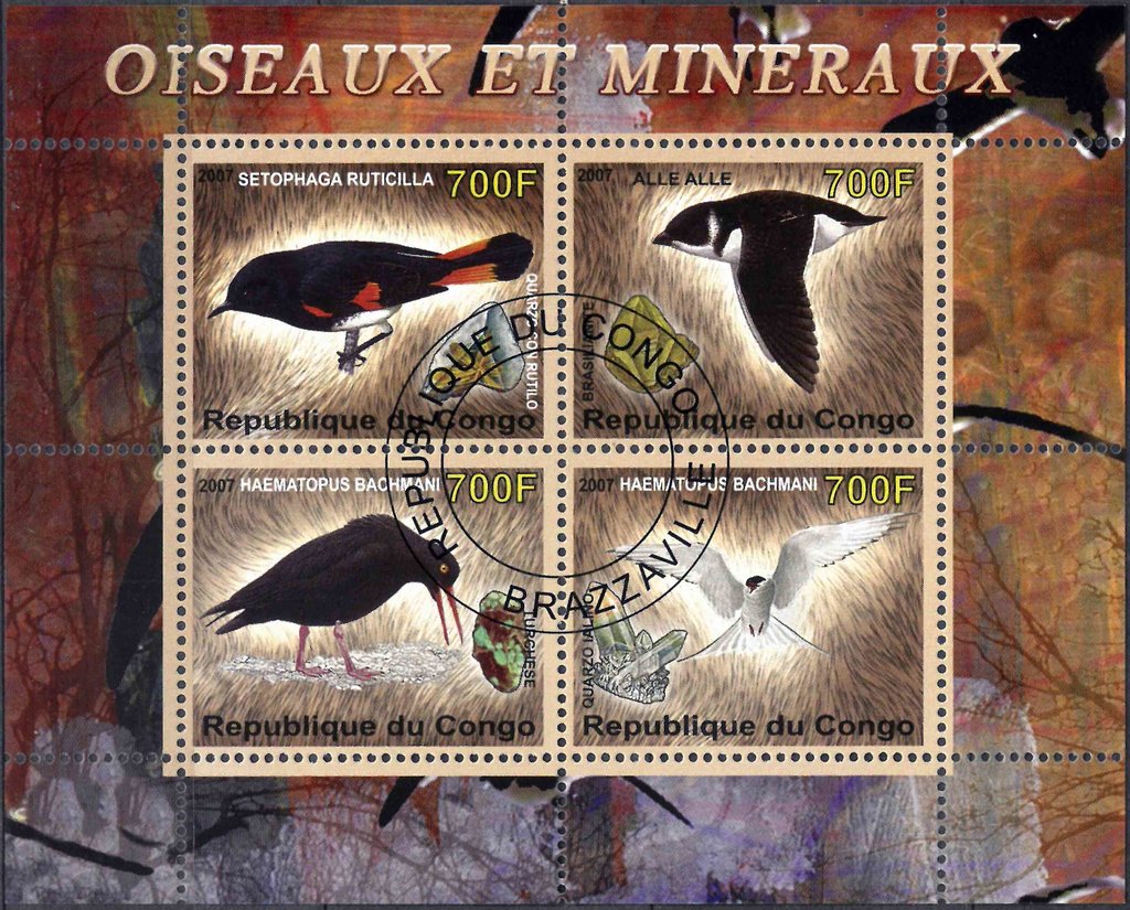 Birds and Minerals