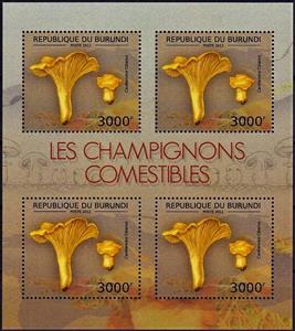 Mini Sheet, Cantharellus cibarius, Burundi,  , Mushrooms, Plants (Flora)