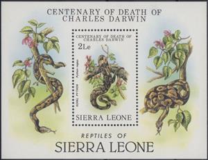 Souvenir Sheet, Royal python, Sierra Leone,  , Animals (Fauna), Reptiles, Snakes