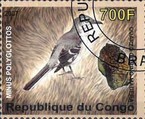 Stamp, Minus Polyglottos / Quarzo ourino madera, Cinderellas,  , Animals (Fauna), Birds, Minerals