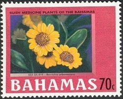 Stamp, Bush medicine plants of the Bahamas - Sea ox-eye, Bahamas,  , Medicines