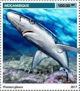 Stamp, Prionace glauca, Mozambique,  , Animals (Fauna), Sharks