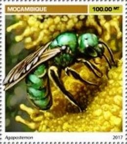 Stamp, Agapostemon, Mozambique,  , Bees, Insects