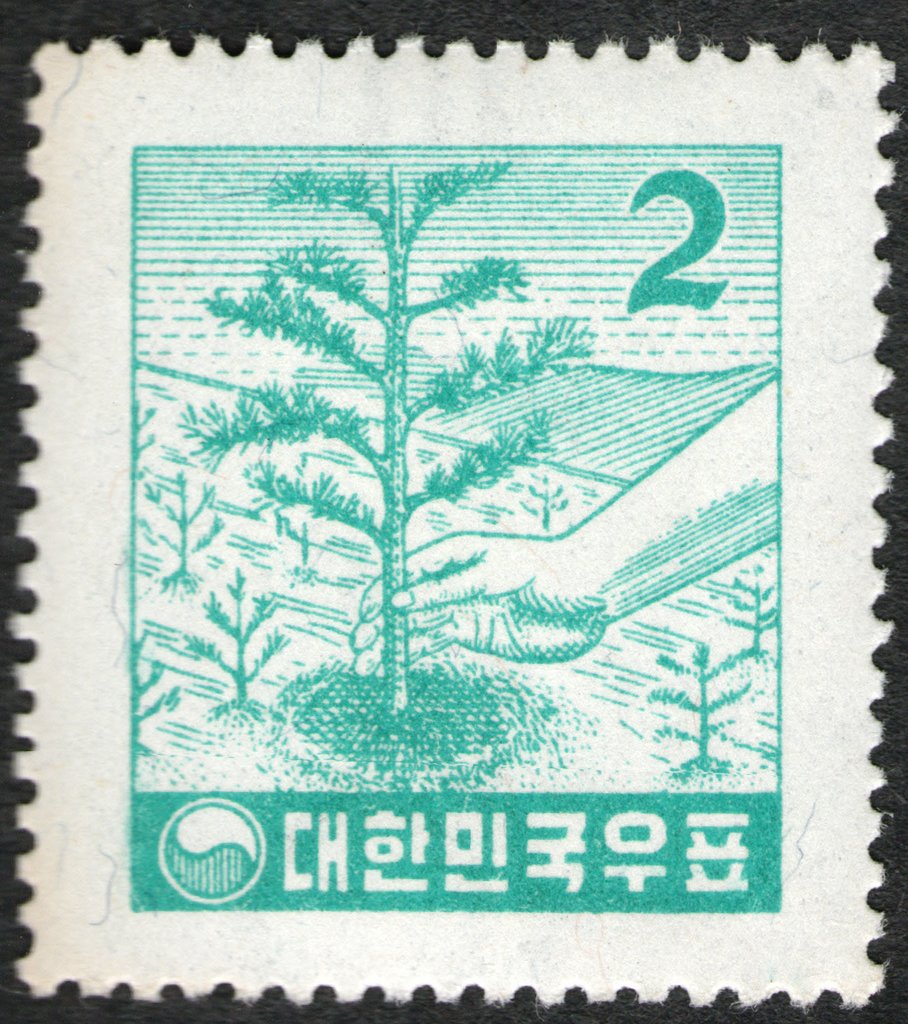 Planting trees