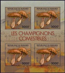 Mini Sheet, Boletus edulis, Burundi,  , Mushrooms, Plants (Flora)