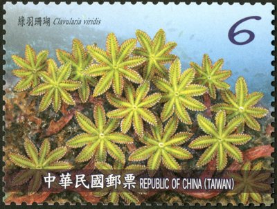Clavularia viridis