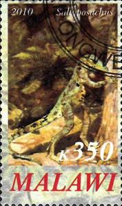 Stamp, Saltoposuchus, Cinderellas,  , Dinosaurs, Prehistorical Animals