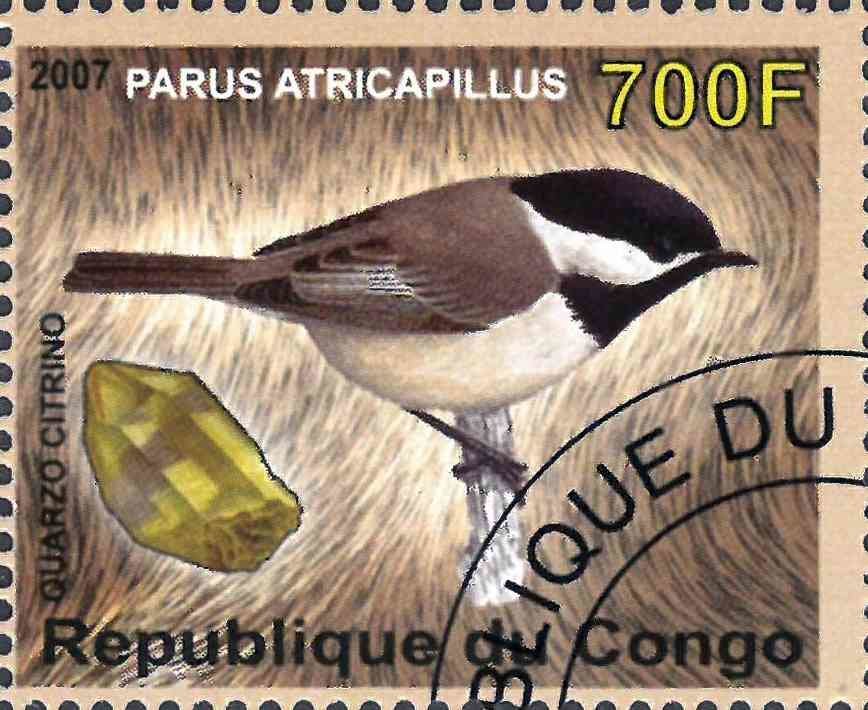Parus Atricapillus / Quarzo citrino