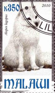 Stamp, Alopex lagopus, Cinderellas,  , Animals (Fauna)