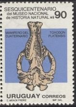 Toxodon platensis Bone