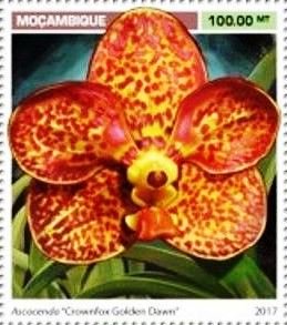 Stamp, Ascocenda ¨Crownfox Golden Dawn¨, Mozambique,  , Orchids, Plants (Flora)