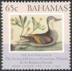 Stamp, White-cheeked Pintail (Anas bahamensis), Tree Seaside Tansy, Bahamas,  , Anniversaries and Jubilees