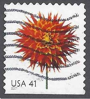 Dahlia