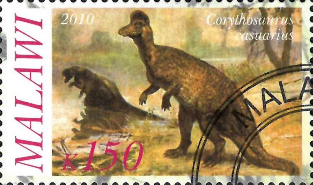 Corythosaurus casuarius