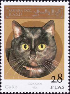 Stamp, Cats, Cinderellas,  , Cats