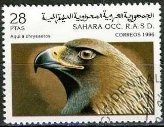 Birds Of Prey