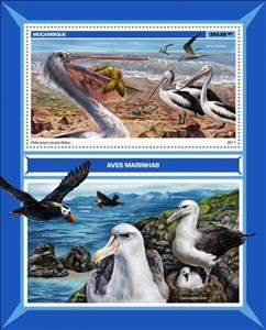 Souvenir Sheet, Pelecanus conspicillatus, Mozambique,  , Animals (Fauna), Birds, Pelicans