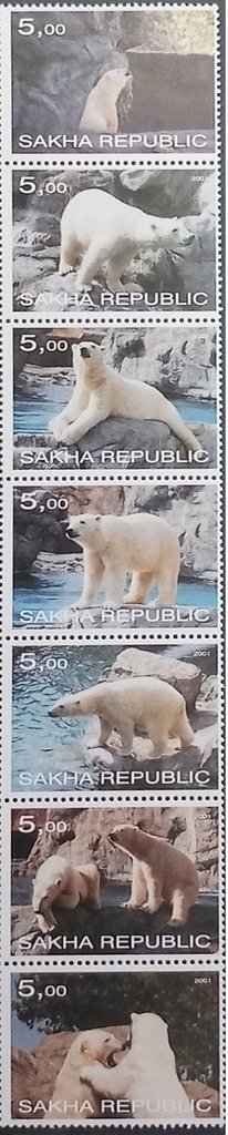 Polar Bear