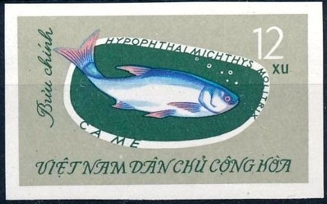 Stamp, Silver Carp (Hypophthalmichthys molitrix), Vietnam,  , Animals (Fauna), Fishes