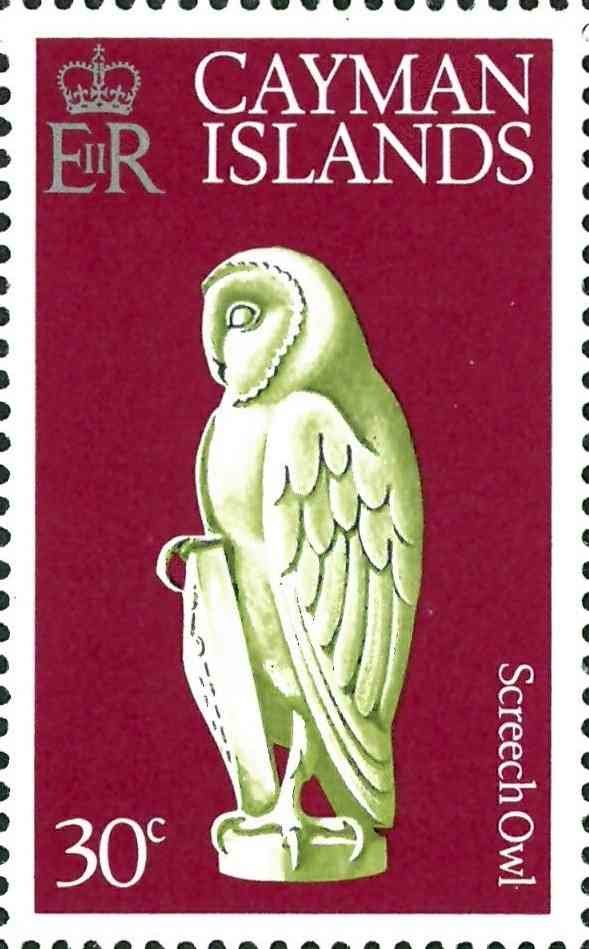 Screech Owl